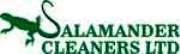 Salamander Cleaners Limited 355504 Image 1